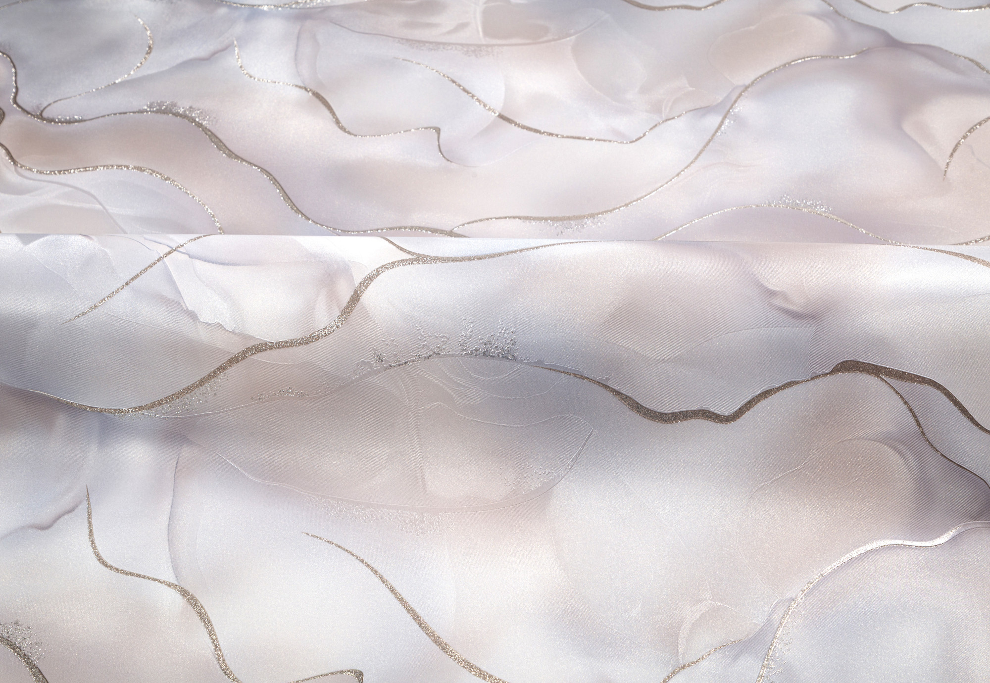 CAT_MACRO_PHOTOeI_HC72451-24_(4)