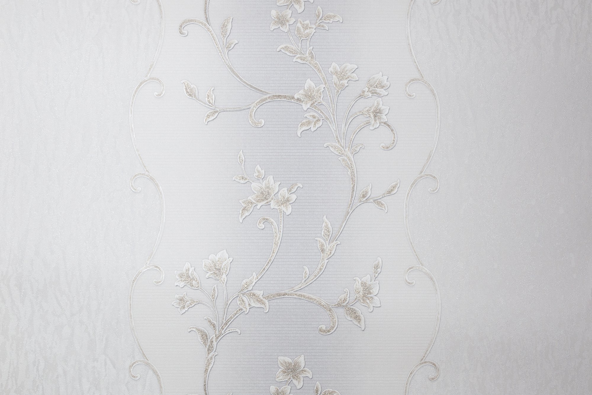 CAT_MACRO_PHOTOvI_HC31235-24_(1)