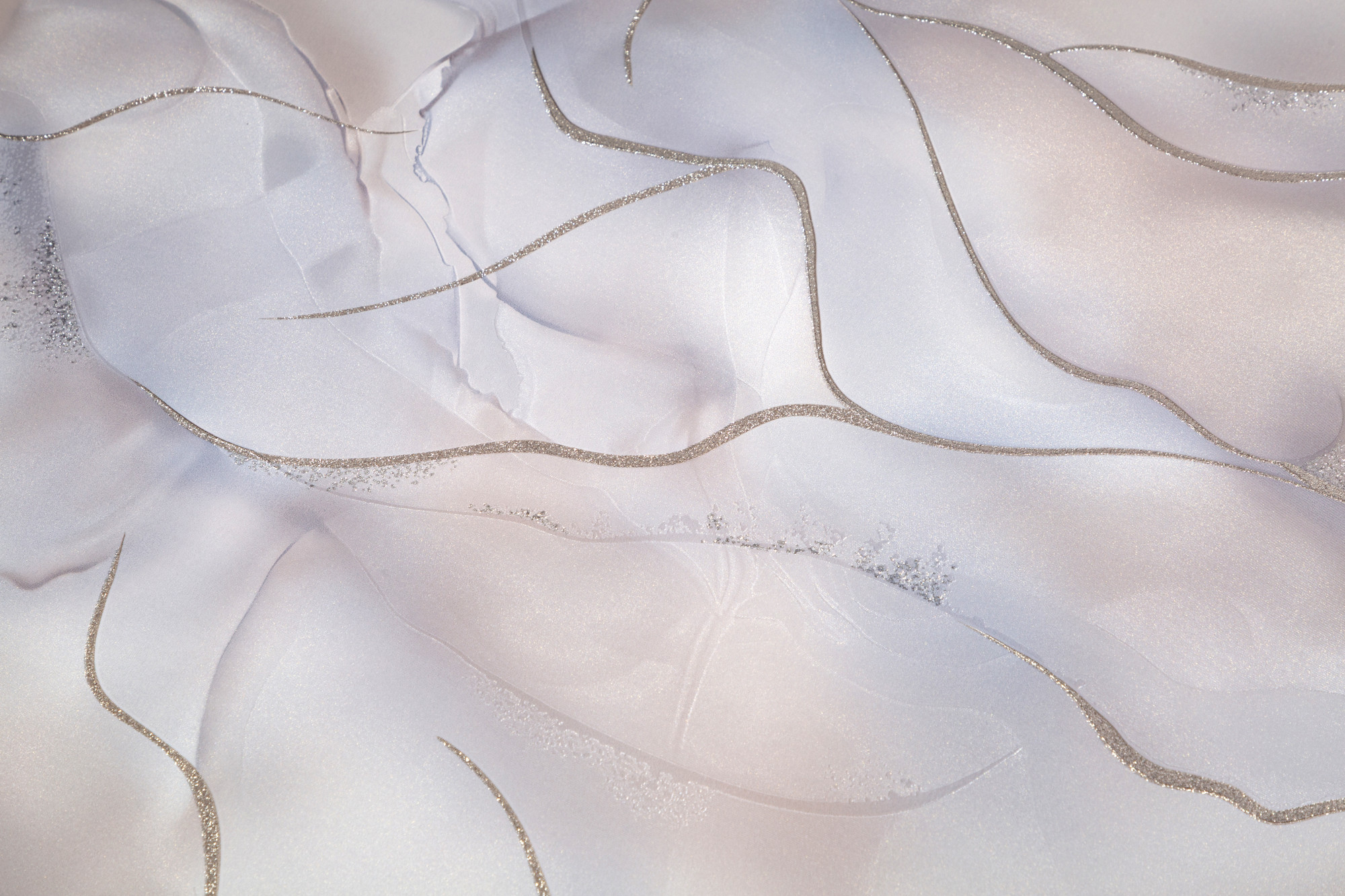 CAT_MACRO_PHOTOvI_HC72451-24_(2)