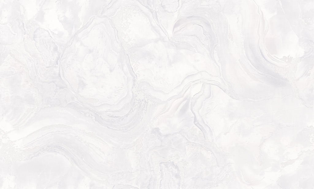 5071-00-раппорт_