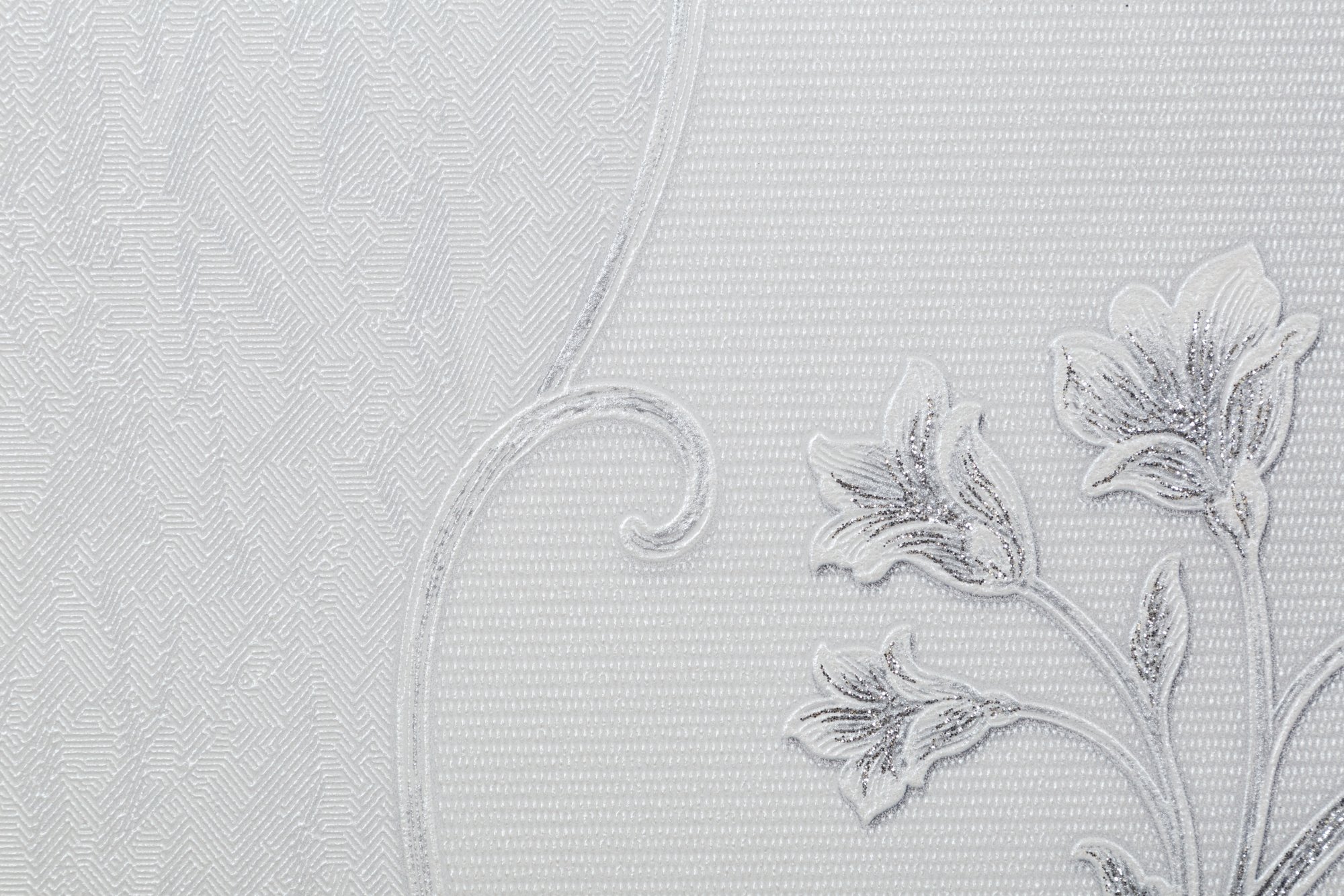 CAT_MACRO_PHOTOdI_HC31235-14_(2)