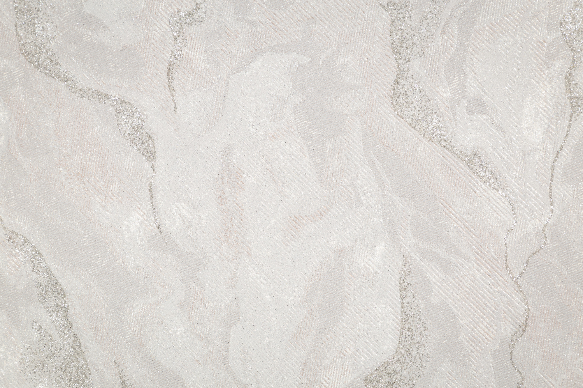 CAT_MACRO_PHOTOyI_HC72428-22_(3)