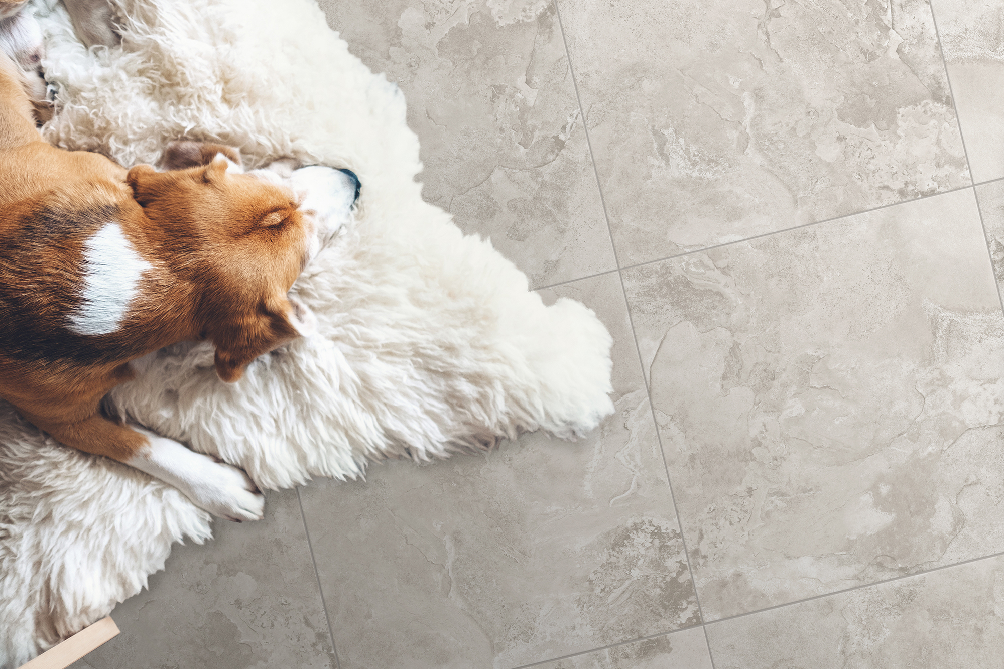 rpxyhc120noz0sxjy41ls46rivxvdrfi