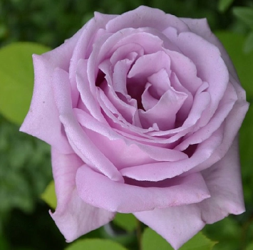 Снимок экрана 2025-02-17 162031