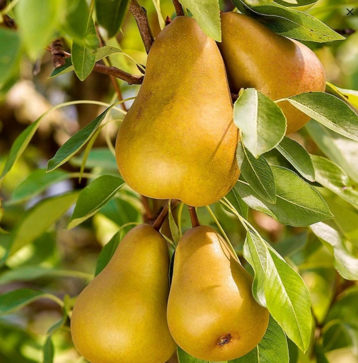 Снимок экрана_5-5-2025_143547_kazan.megastroy.com