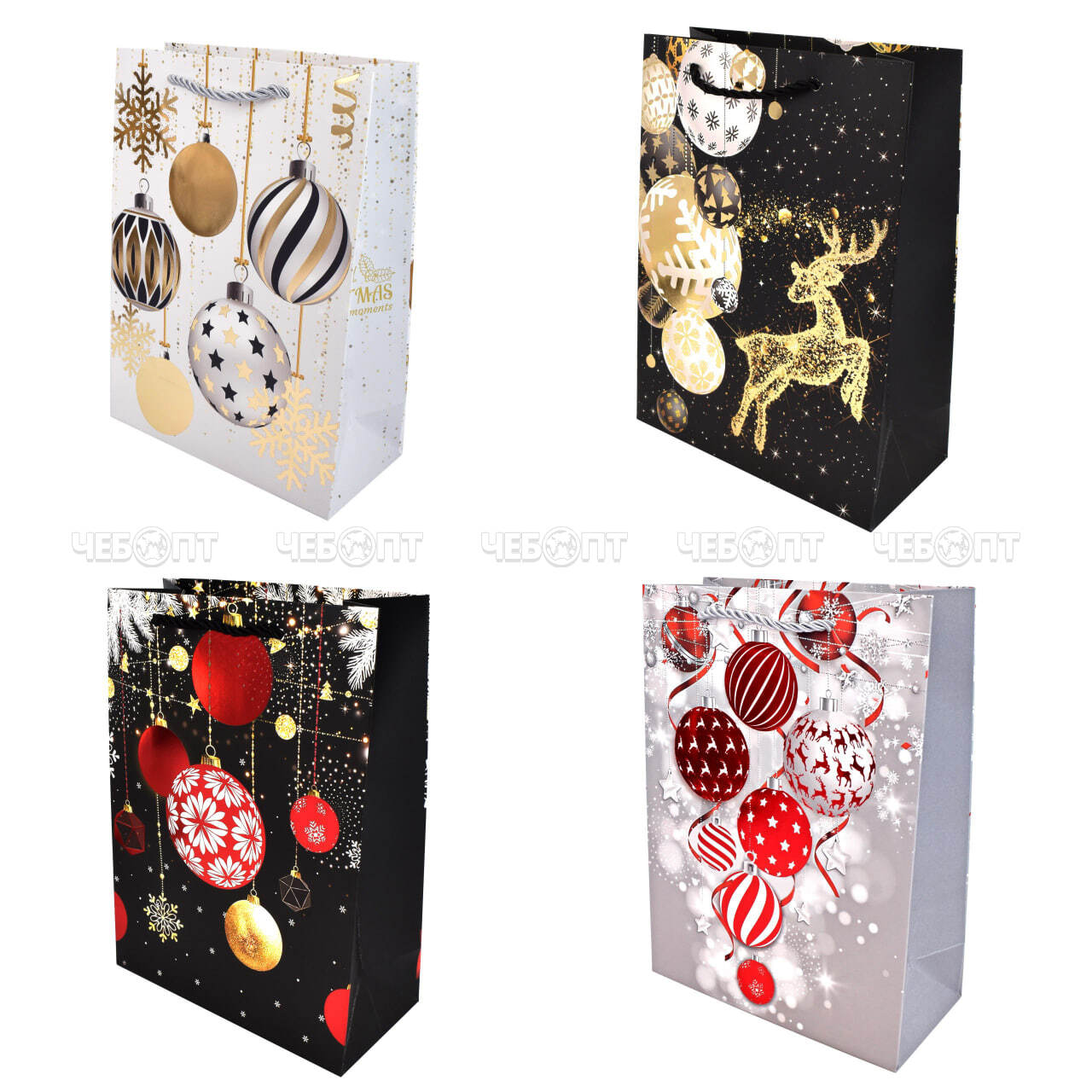 photo_2024-08-12_09-15-46_1 (1)