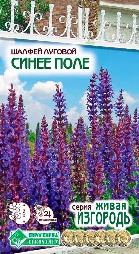 семена_шалфей_луговой_синее_поле_0_1гр_евросемена_1.jpg