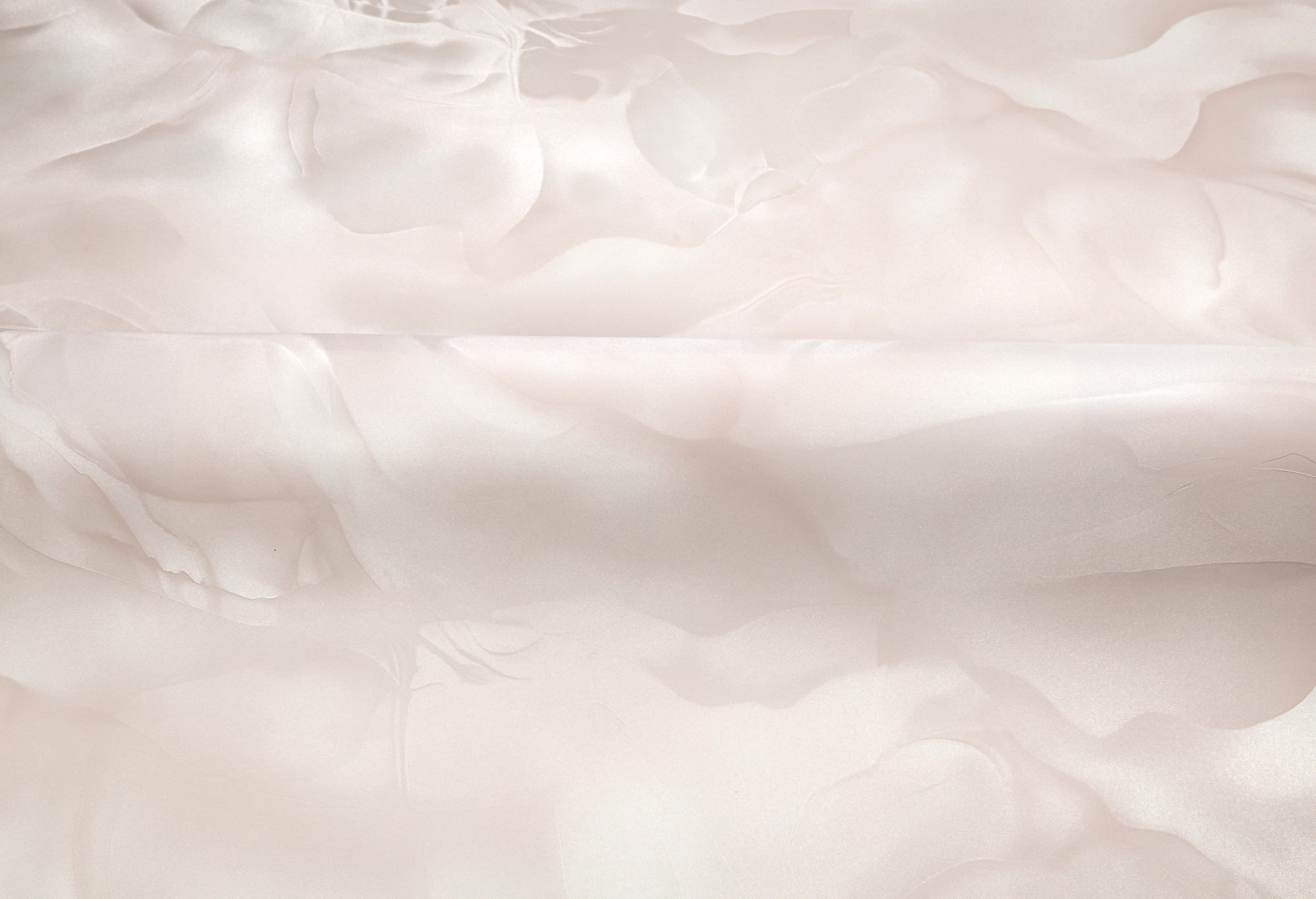 CAT_MACRO_PHOTOgI_HC72452-22_(4)