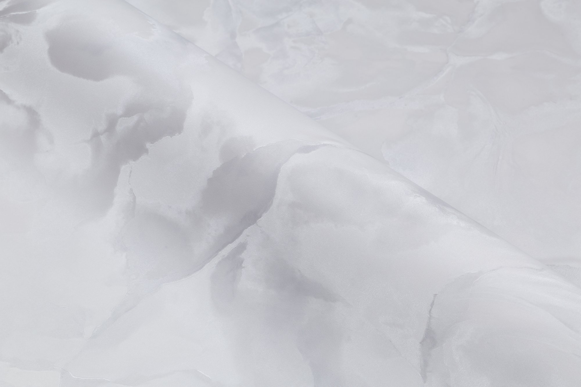 CAT_MACRO_PHOTOlI_HC72371-42_(4)