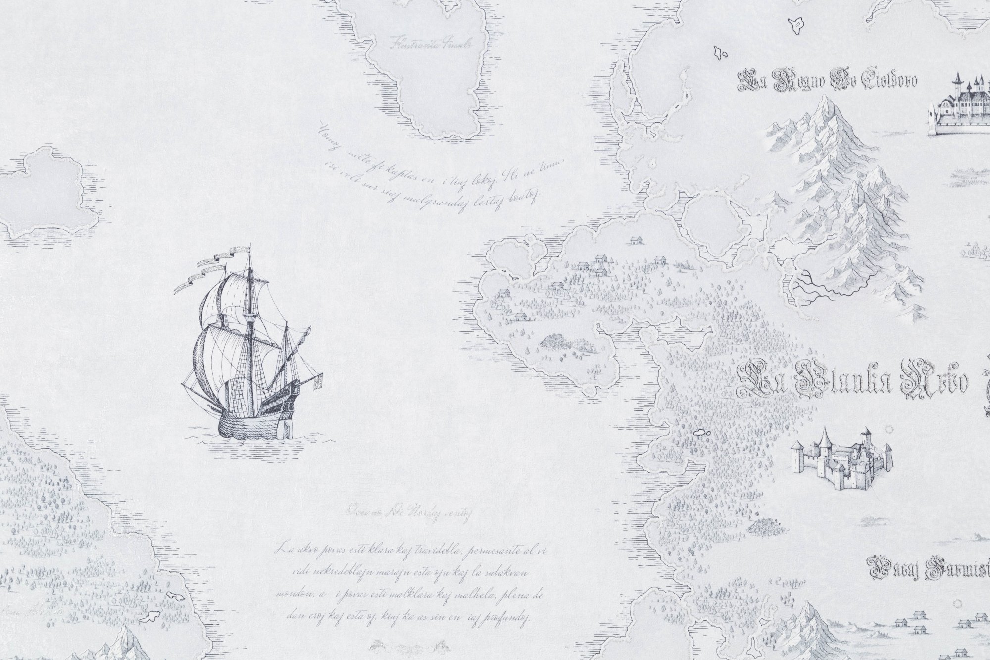 CAT_MACRO_PHOTOhi_HC72316-14_(2)