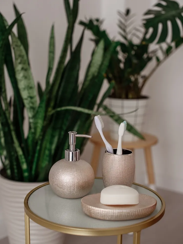 мыльница шайн