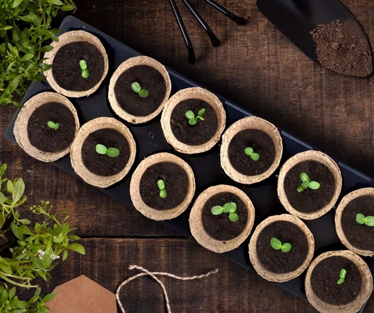 Снимок экрана_31-1-2025_113859_www.ozon.ru