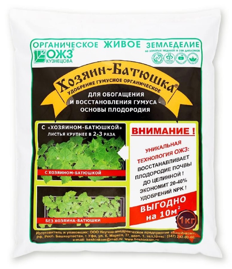 Снимок экрана 2026-04-07 085721