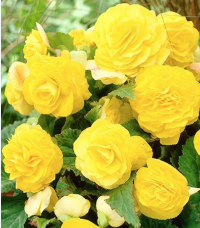 Снимок экрана 2025-02-18 083341