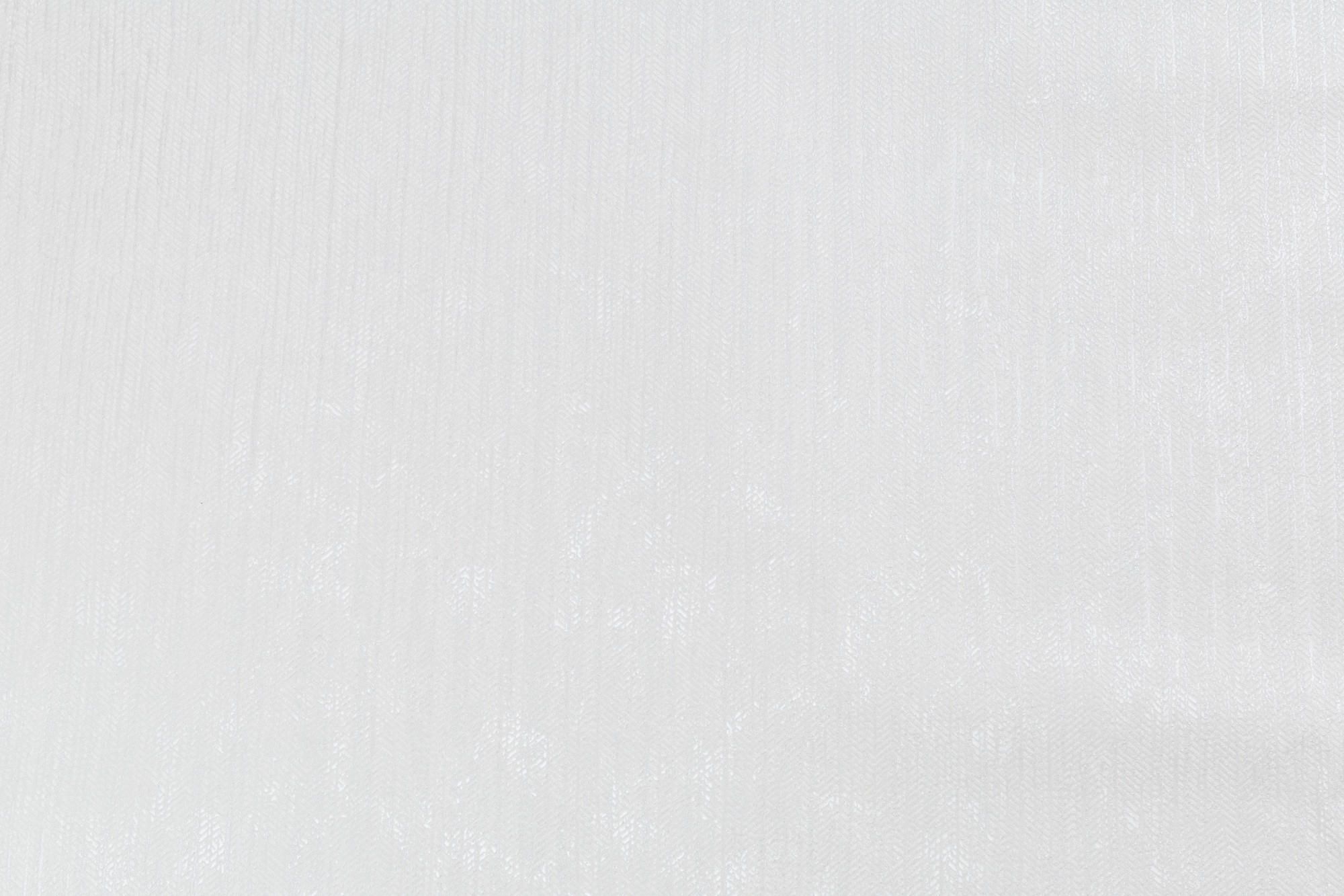 CAT_MACRO_PHOTOrI_PL81593-11_(1)