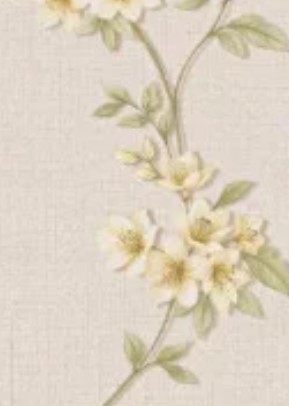 Снимок экрана 2025-11-19 120405