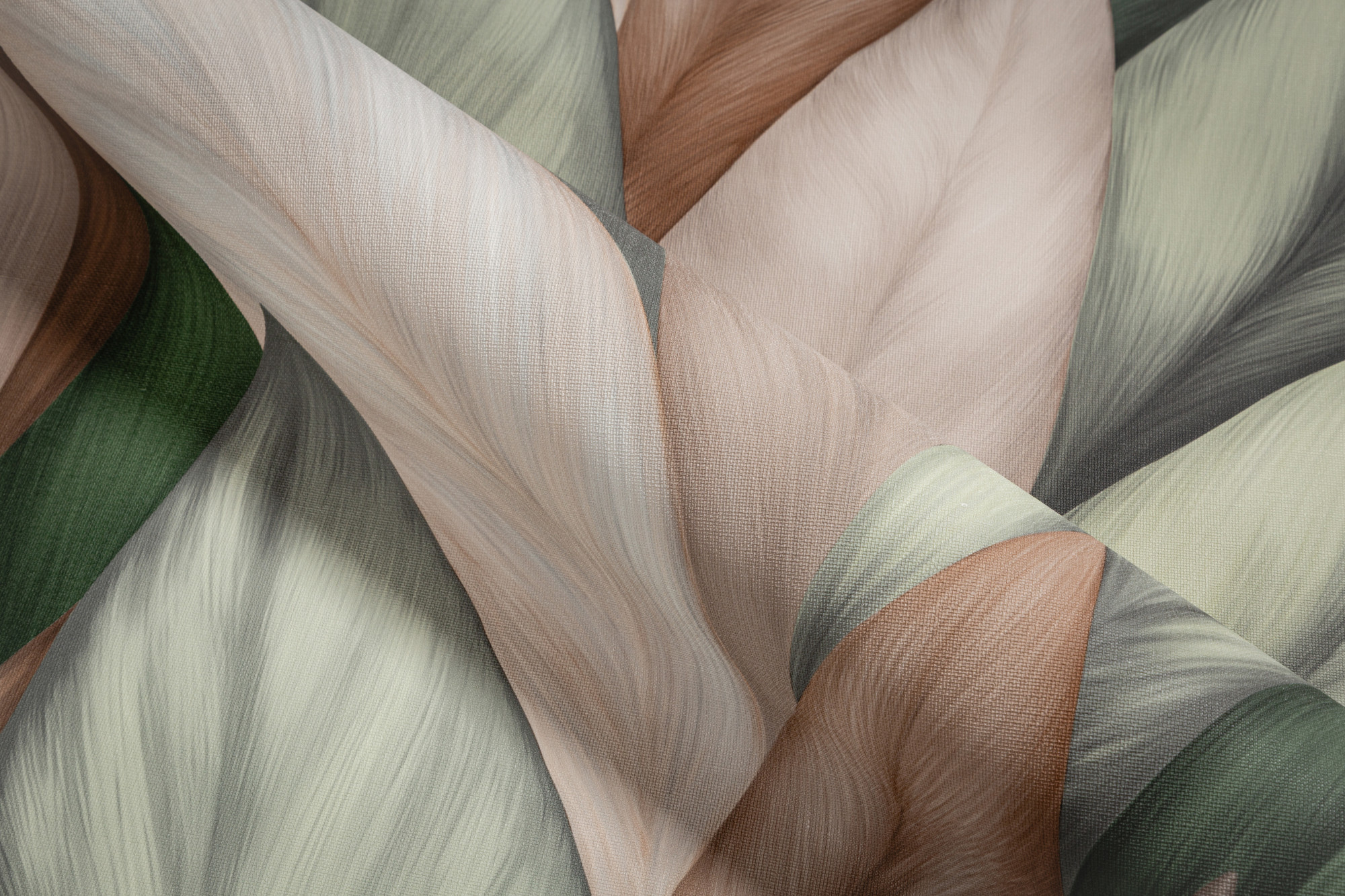 CAT_MACRO_PHOTOaI_TC72480-72_(4)