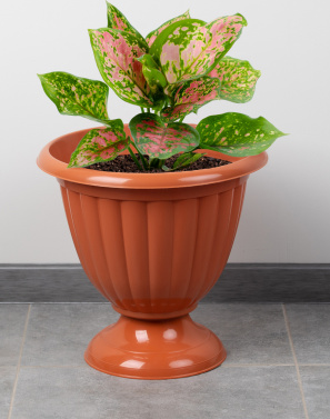 Снимок экрана 2025-03-29 130152