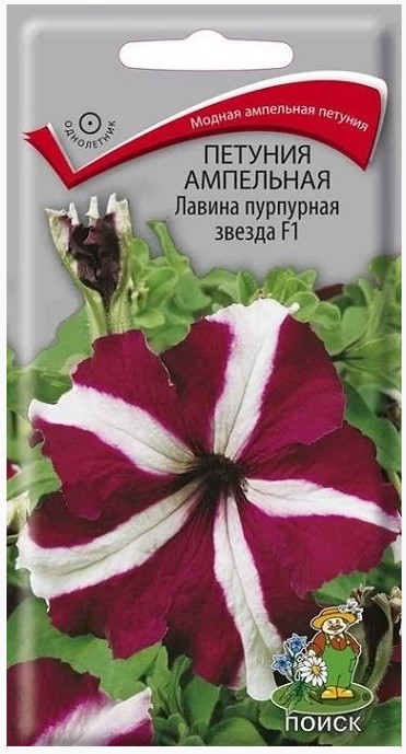 Снимок экрана 2024-12-11 140655