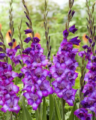 08310fd0f782a391e66d7d0e034e5863