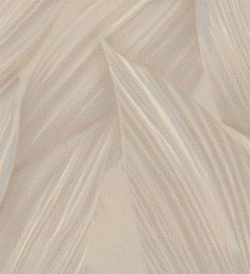 Снимок экрана 2025-12-26 161613