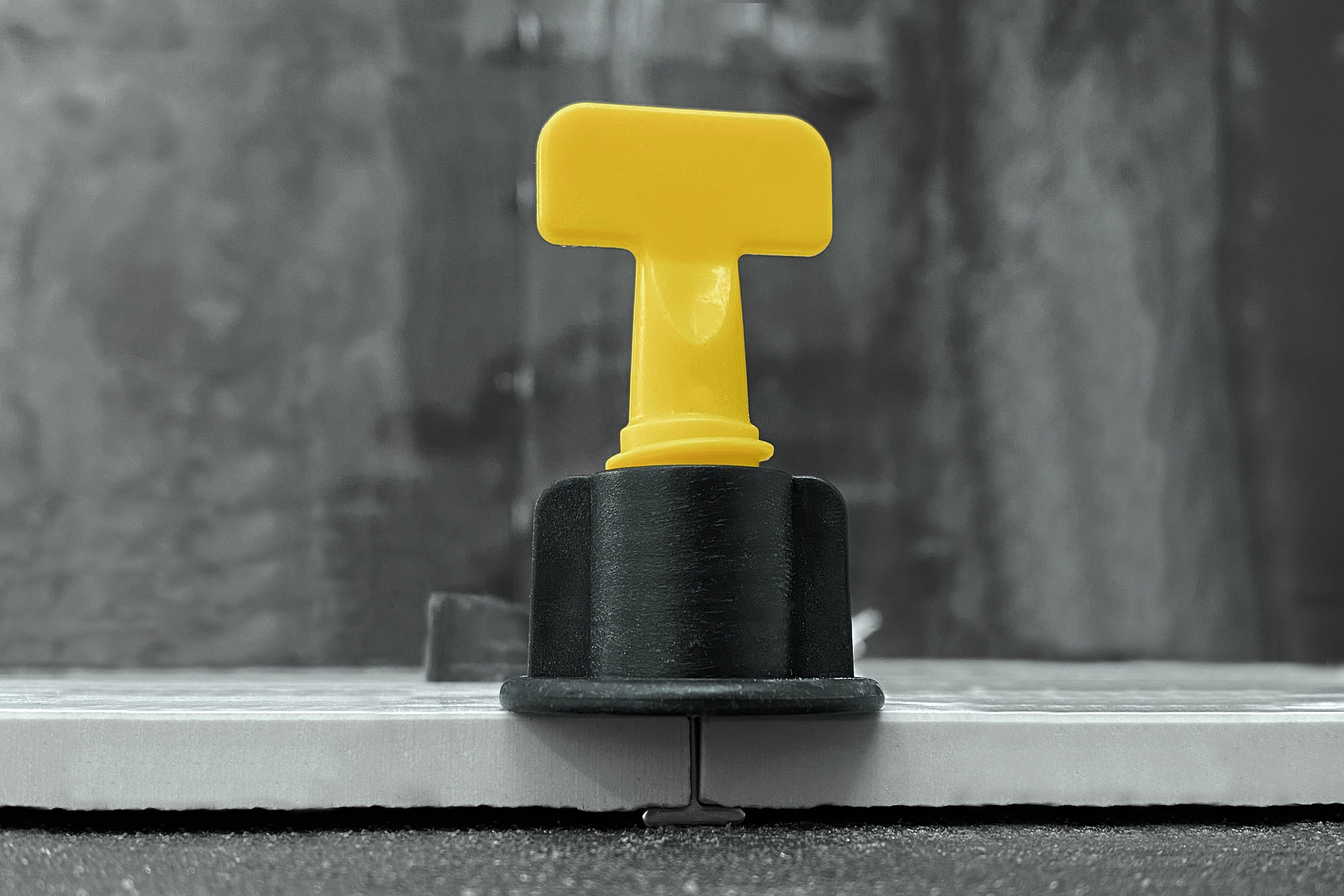 244i0azjppa9om2mt535toewd8ie3yr2