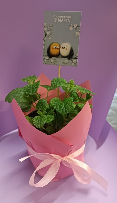 Снимок экрана 2026-03-04 100008