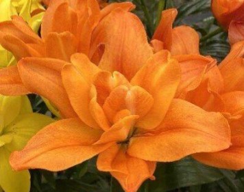 Снимок экрана 2024-03-05 125223