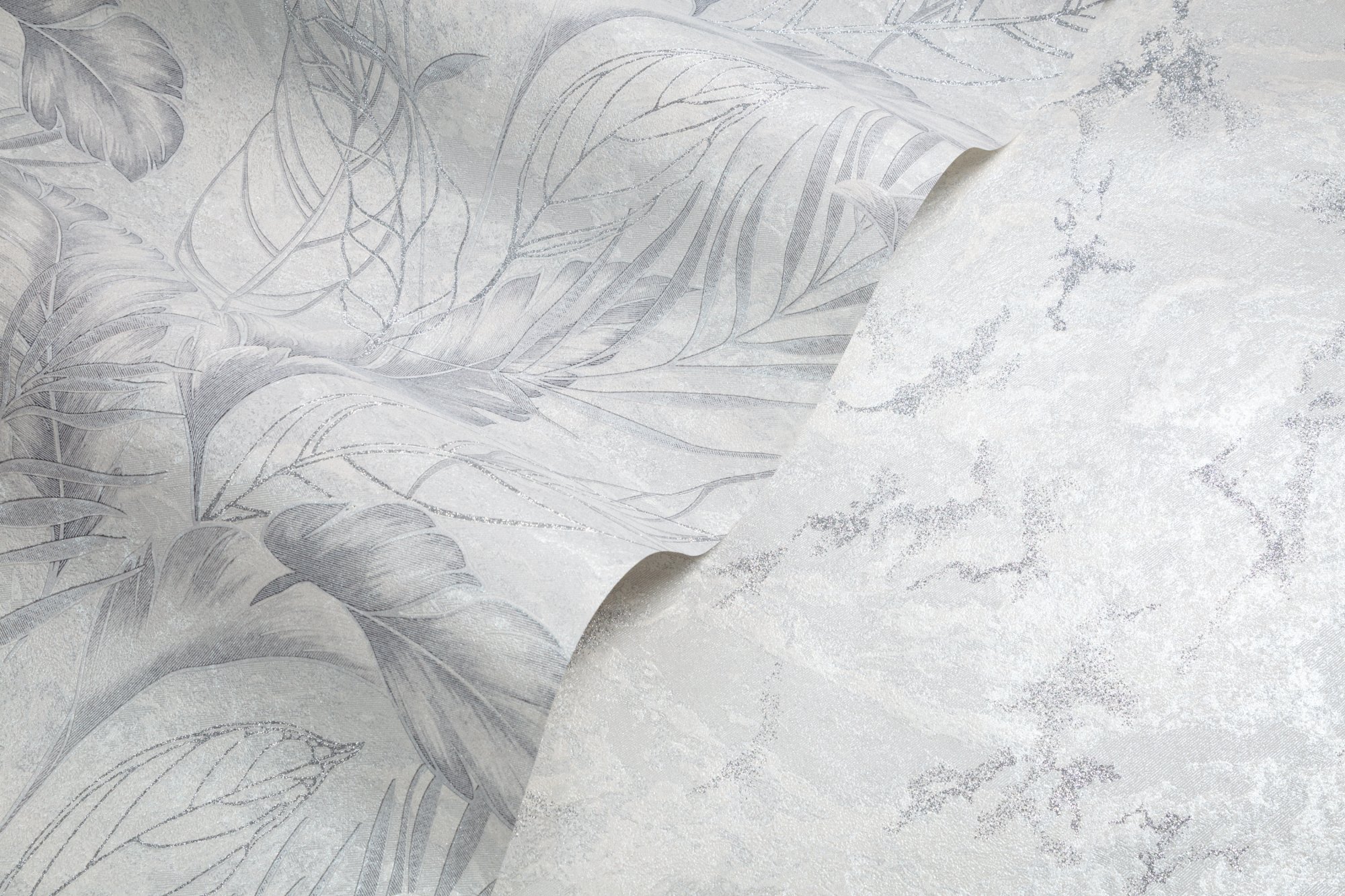 CAT_MACRO_PHOTOyI_HC72437-14fHC72438-14_(2)