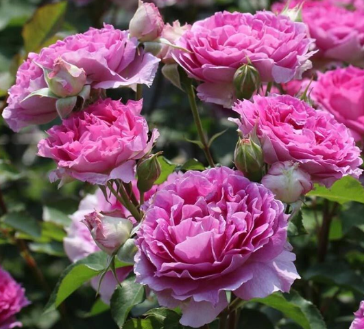 Снимок экрана 2025-02-17 164956