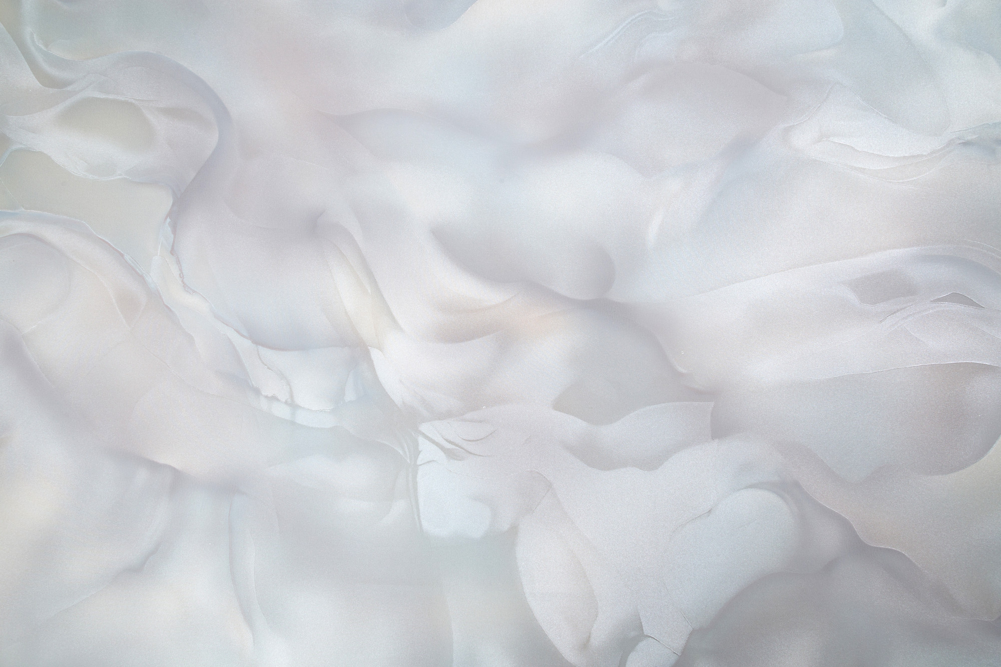 CAT_MACRO_PHOTOnI_HC72452-28_(1)