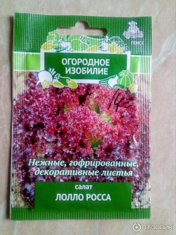 Семена Салат Лолло Росса (ЧБ) 1гр.