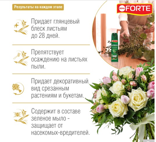 Снимок экрана 2023-11-24 100357