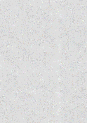 Снимок экрана 2026-04-30 083413