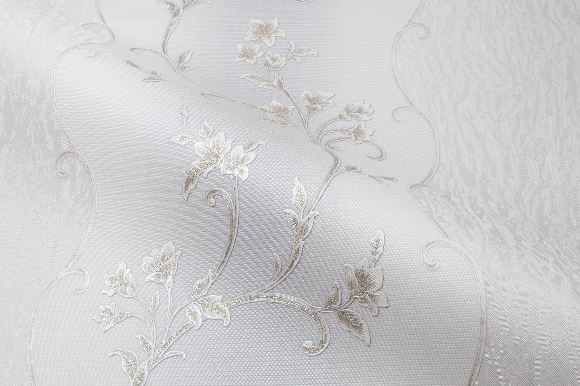 CAT_MACRO_PHOTOxI_HC31235-24_(5)