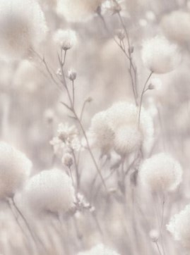 Снимок экрана 2025-12-01 110328