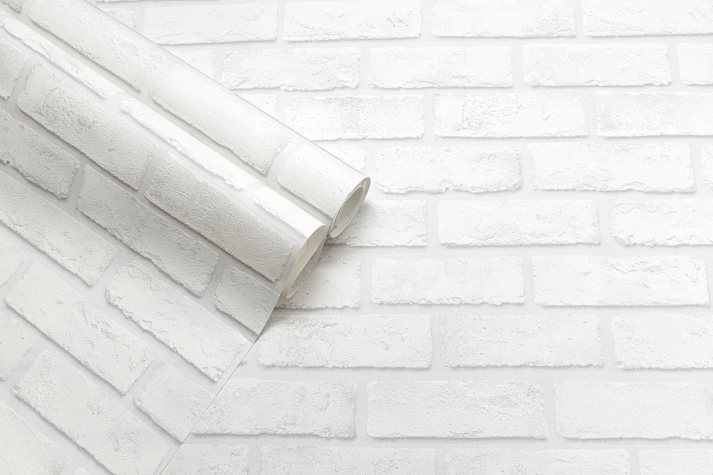 CAT_MACRO_PHOTOrIMG_SP71809-14_(6)