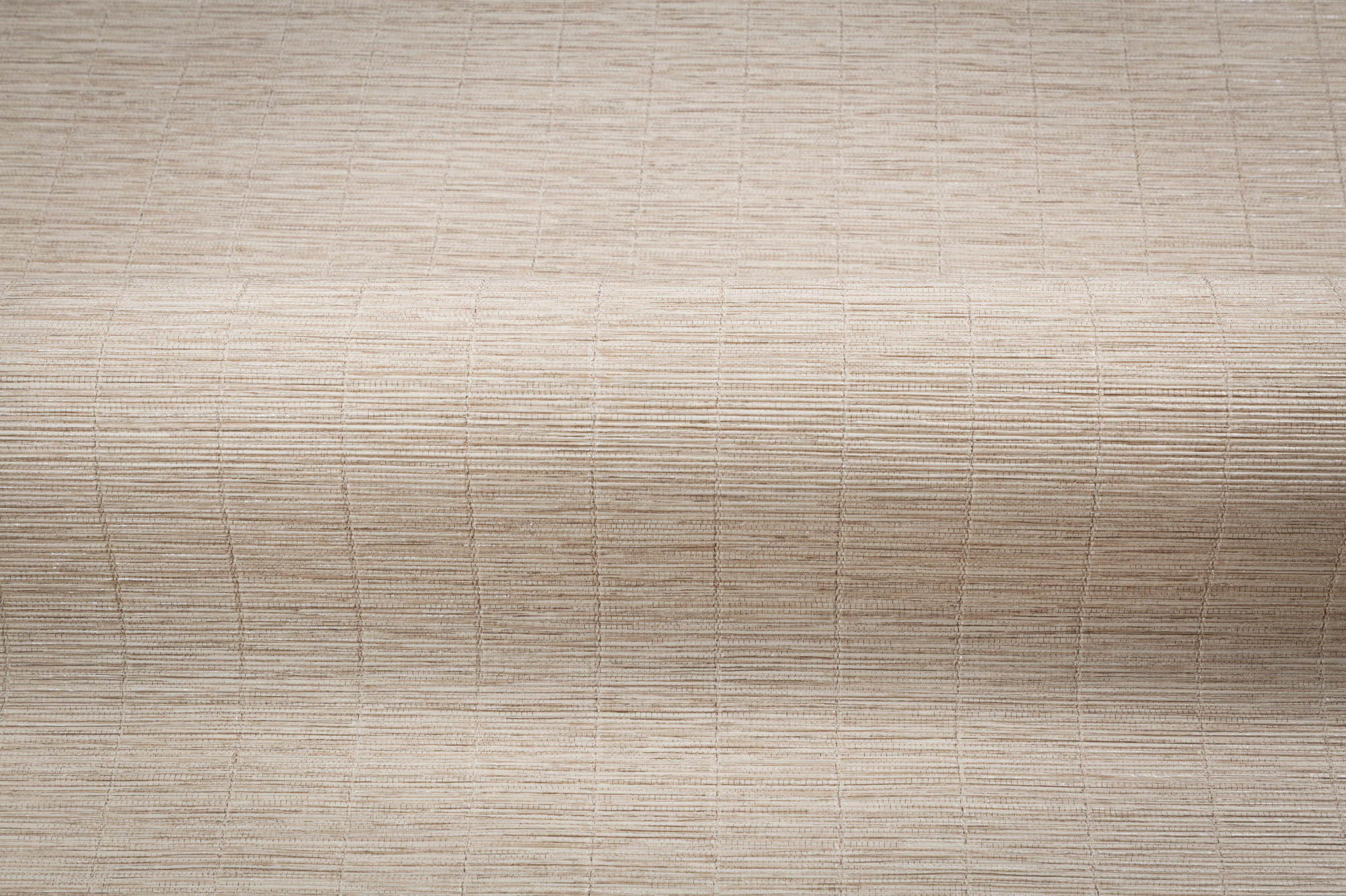 CAT_MACRO_PHOTOiI_TC72457-22_(3)