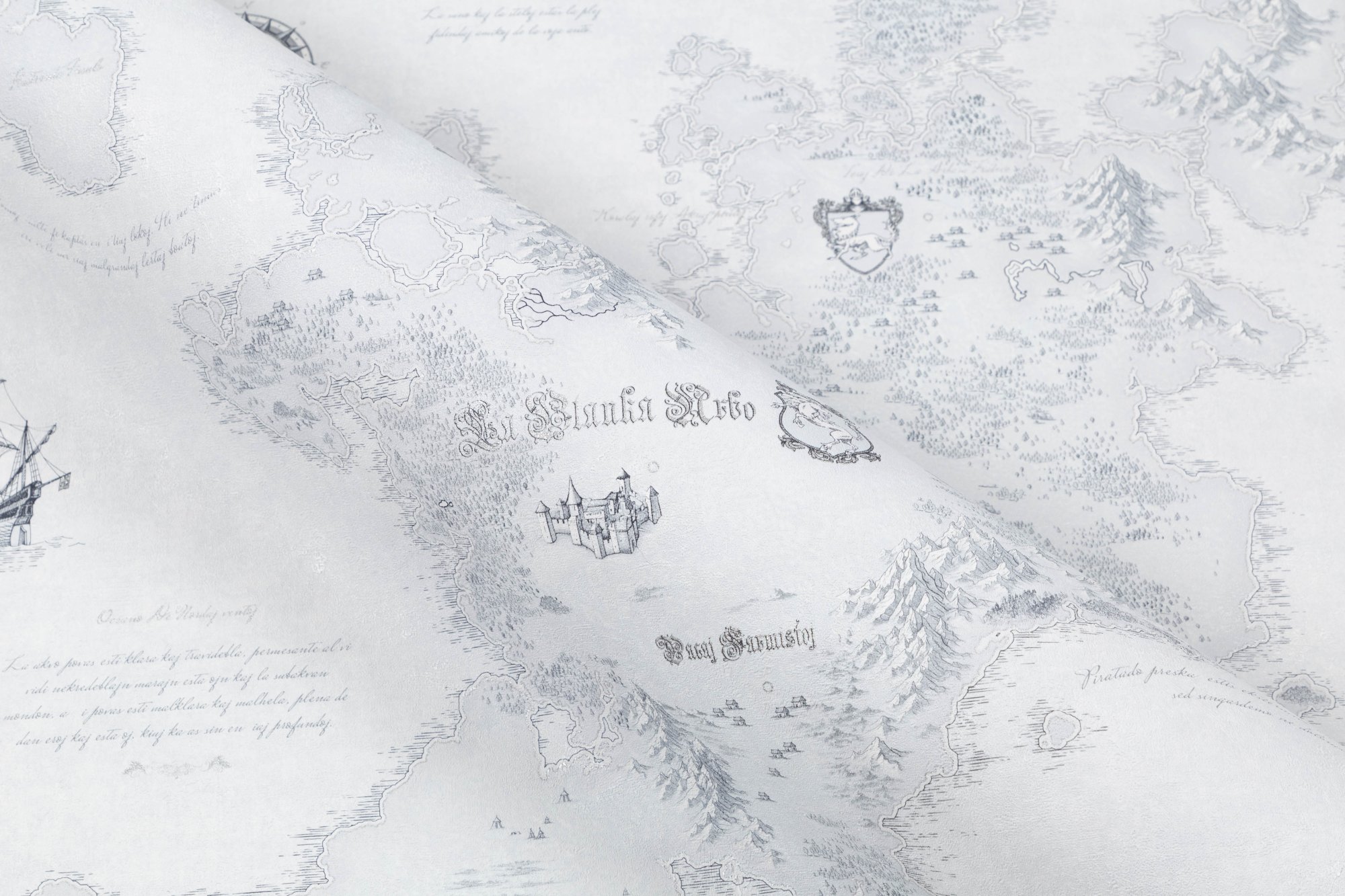 CAT_MACRO_PHOTOqi_HC72316-14_(4)