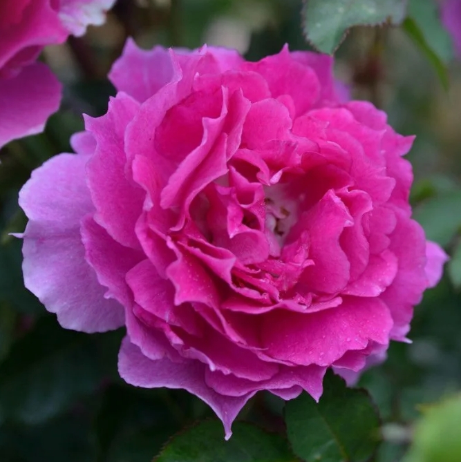 Снимок экрана_21-2-2025_84833_yandex.ru