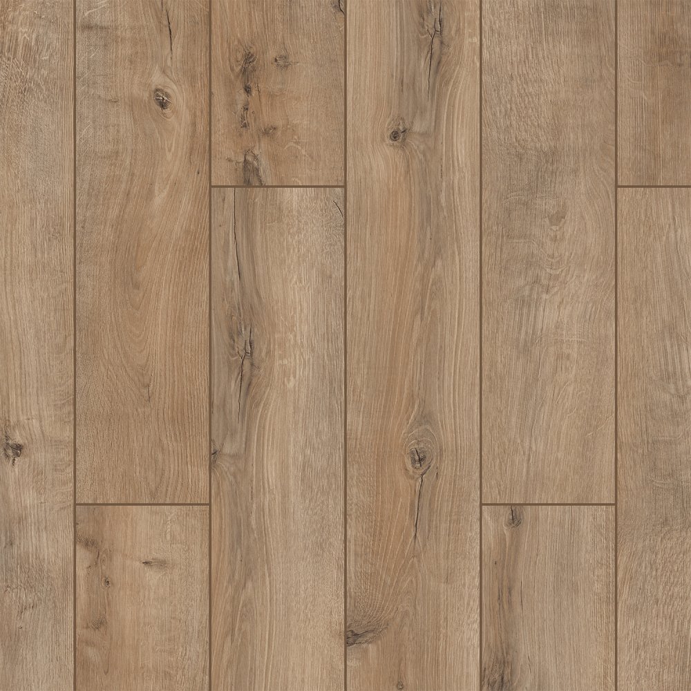 889e62593f6b04fc227c11f14fa5dd8f