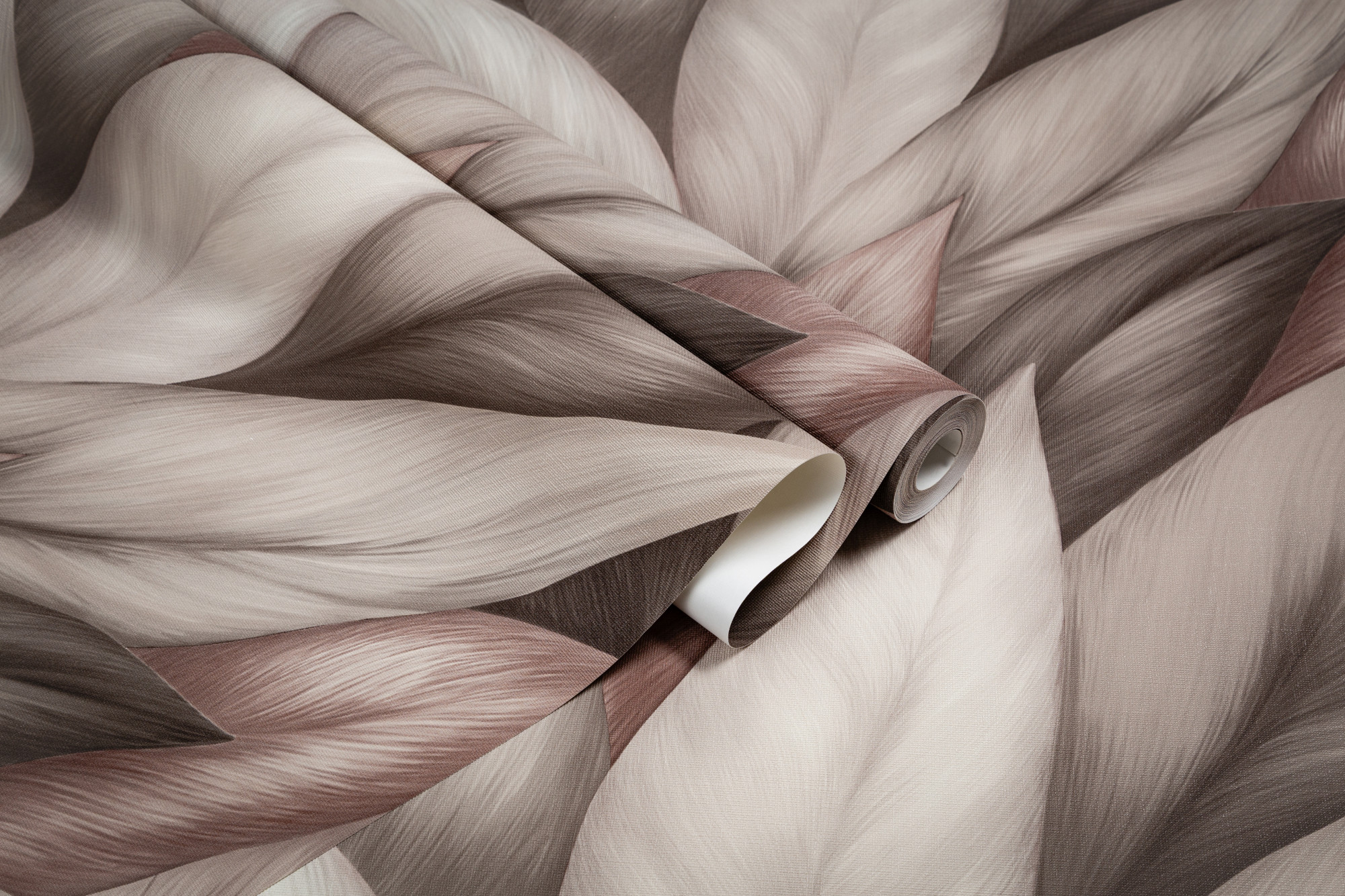 CAT_MACRO_PHOTOyI_TC72480-82_(5)