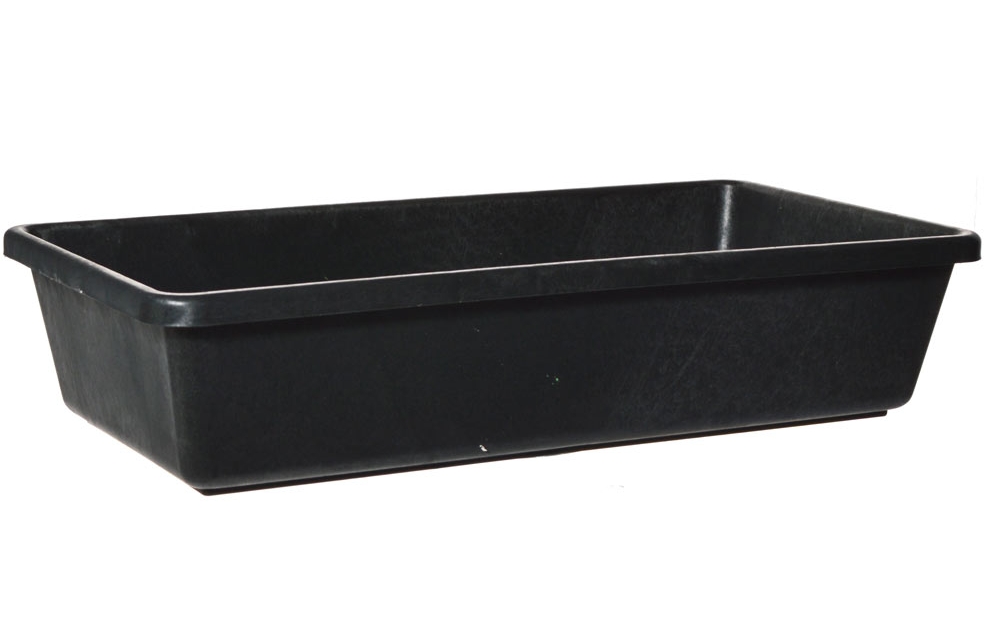 Снимок экрана_26-2-2025_152322_atann.ru