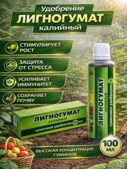 Снимок экрана 2026-04-06 150401