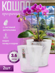 Снимок экрана_8-4-2025_81145_www.wildberries.ru