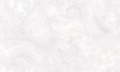 5071-00-раппорт_