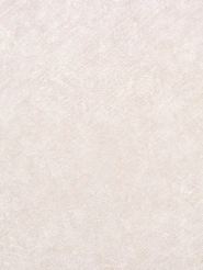oboi_beton_5008_61_bumazhnye_dvukhsloynye_0_53x10_05m_15_1