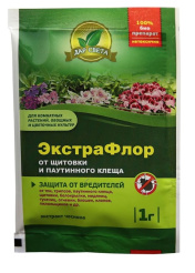 Снимок