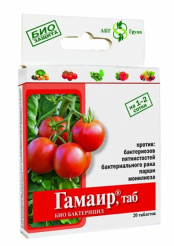 Снимок