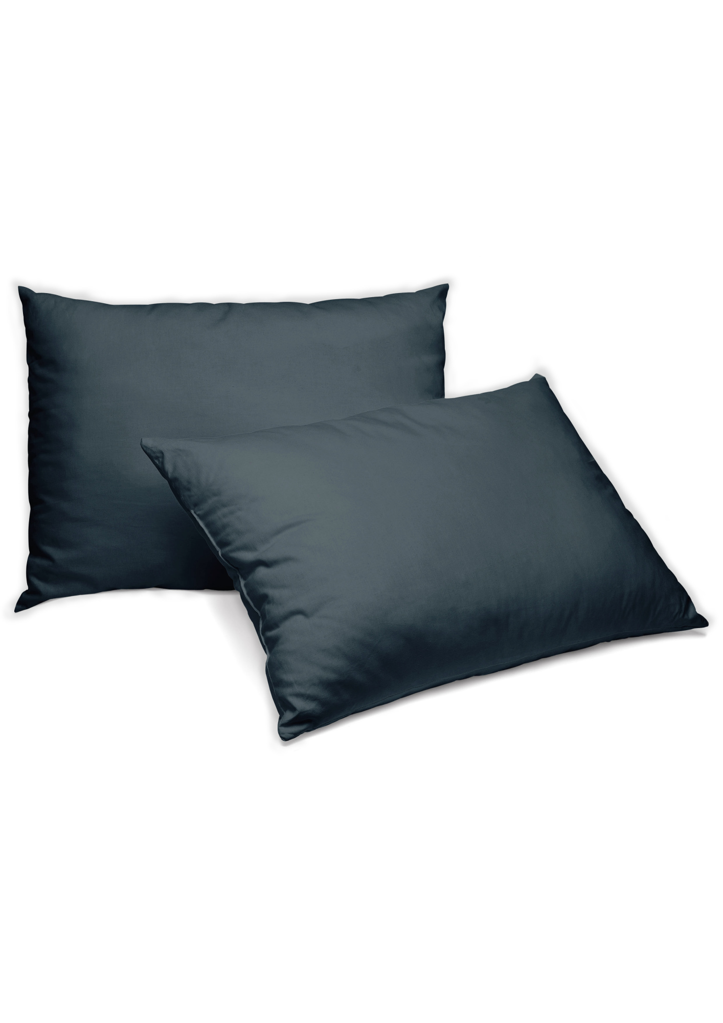 01_19770 подушка 50х70 2 шт